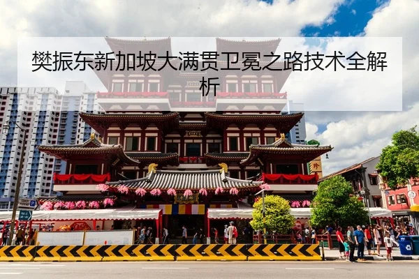 樊振东新加坡大满贯卫冕之路技术全解析