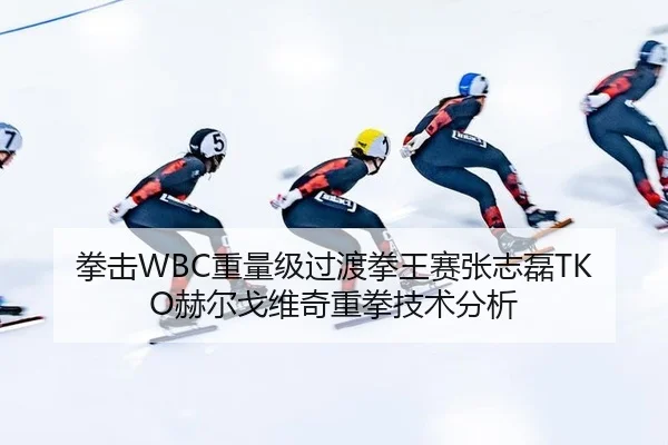 拳击WBC重量级过渡拳王赛张志磊TKO赫尔戈维奇重拳技术分析