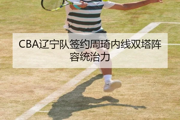 CBA辽宁队签约周琦内线双塔阵容统治力
