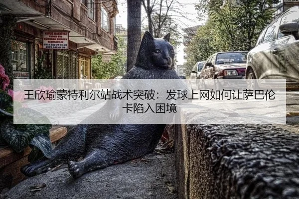 wang-xin-yu-meng-te-li-er-zhan-zhan-shu-tu-po-fa-qiu-shang-wang-ru-he-rang-sa-ba-lun-ka-xian-ru-kun-jing-3-345.jpg